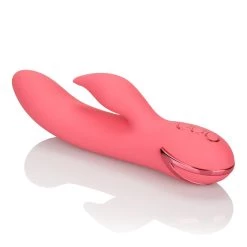 Cal Exotics California Dreaming San Francisco Sweetheart -Party, Gifts & Kits Sales 2022 hhkpyajelrnp4edlmsei