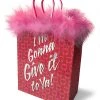 Little Genie I'm Gonna Give It To Ya! Gift Bag