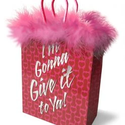 Little Genie I'm Gonna Give It To Ya! Gift Bag